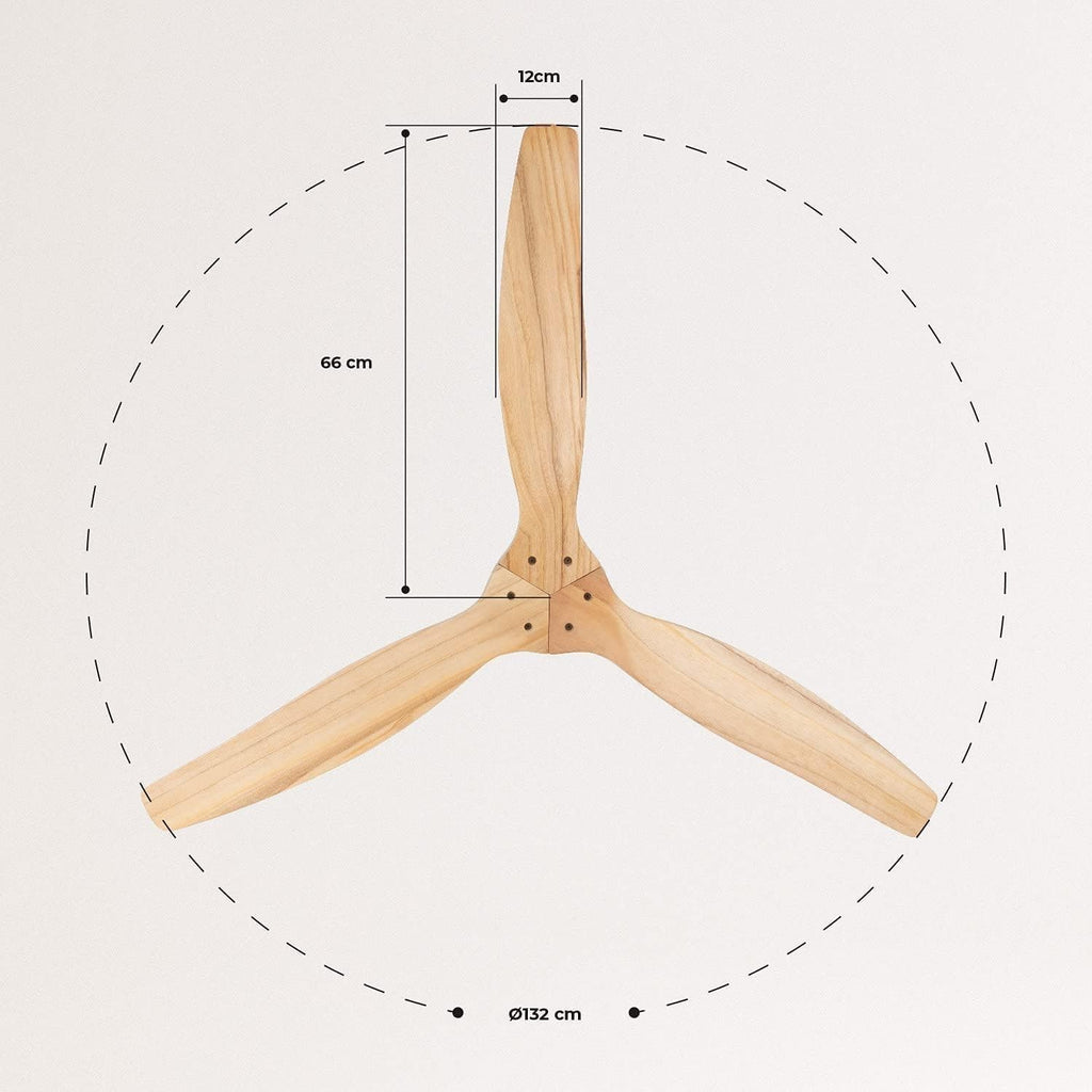 CREATE WINDCALM M Ventilateur de Plafond