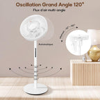 LeaderPro Ventilateur sur Pied DC