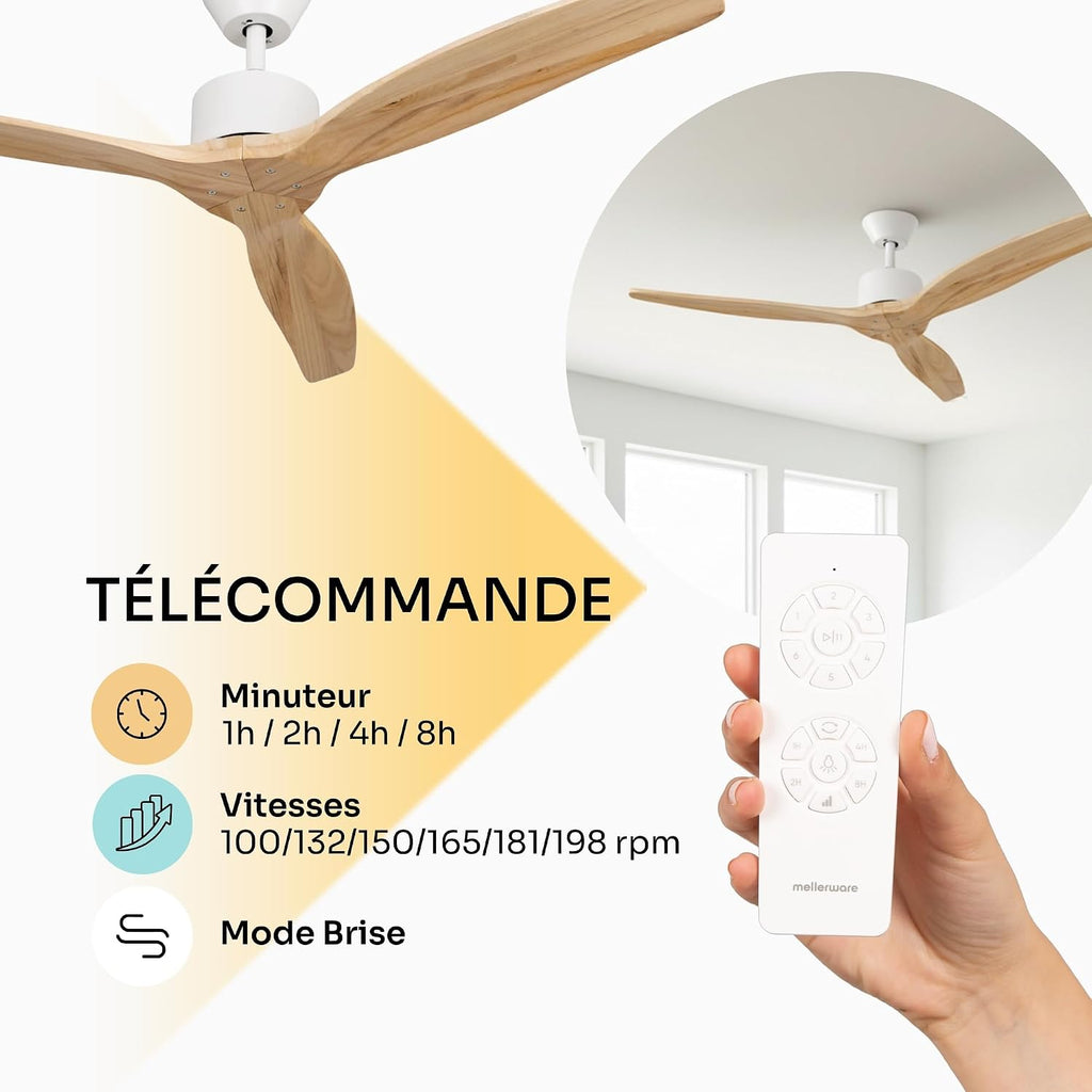 Mellerware Brizy! Ventilateur de Plafond