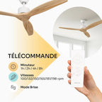 Mellerware Brizy! Ventilateur de Plafond
