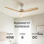 Mellerware Brizy! Ventilateur de Plafond
