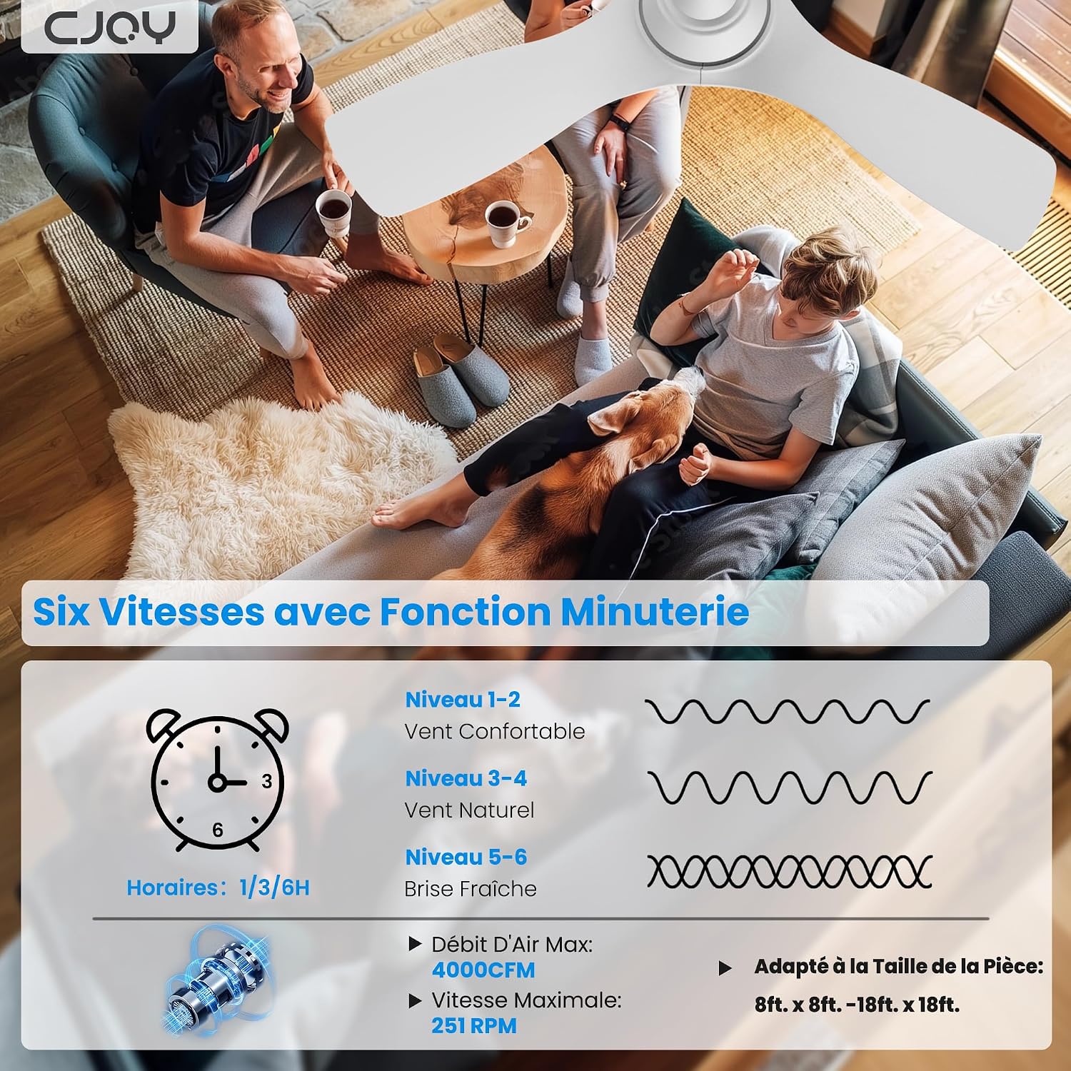 CJOY Ventilateur de Plafond 107 cm