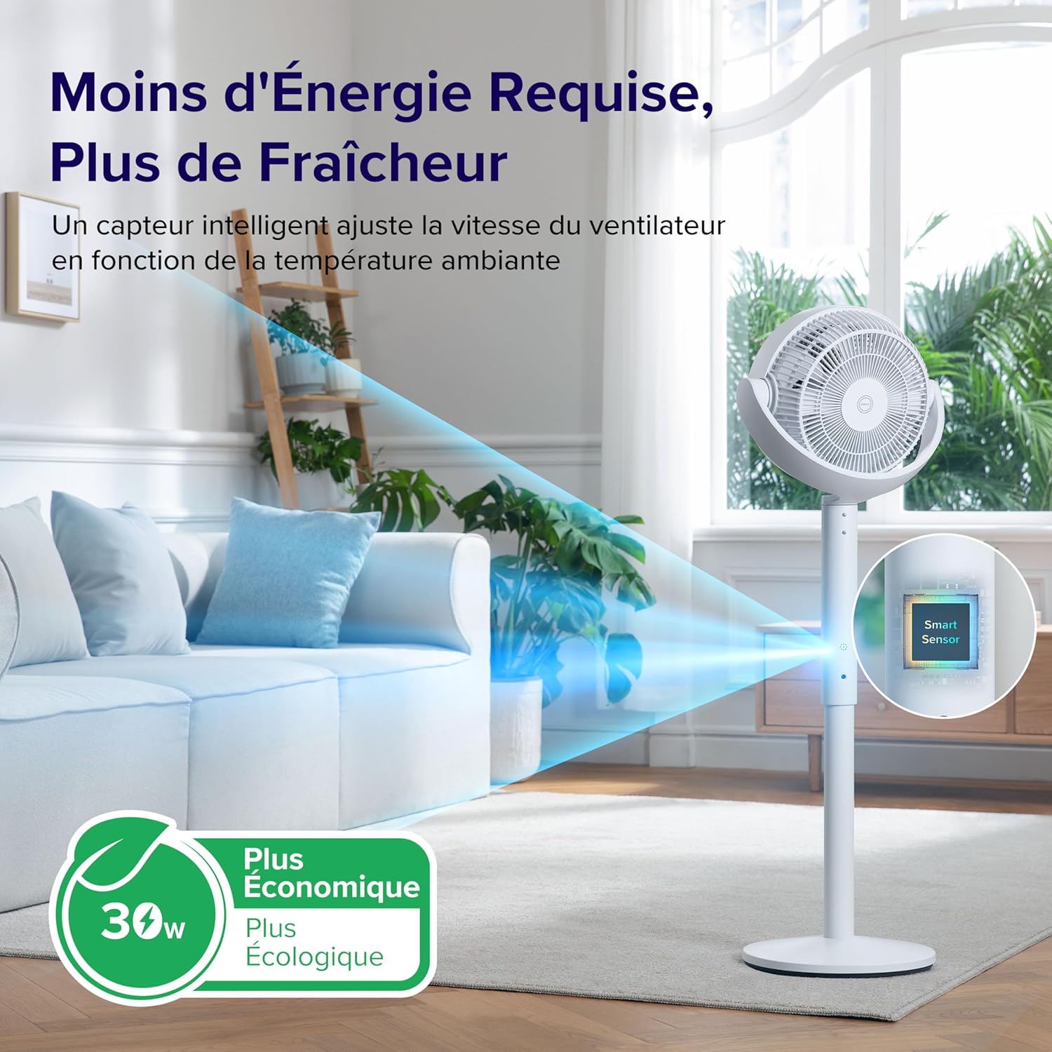 Ventilateur sur Pied Levoit - Moteur DC Silencieux, 12 Vitesses