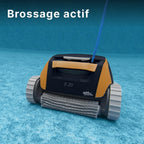 Dolphin E20 Robot de Piscine électrique