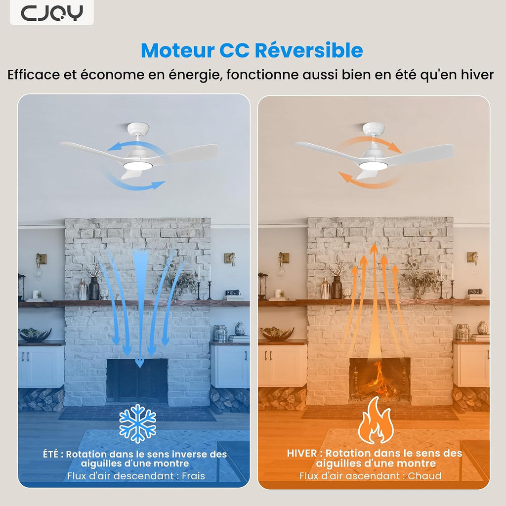 CJOY Ventilateur de Plafond 107 cm