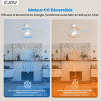 CJOY Ventilateur de Plafond 107 cm