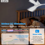 CJOY Ventilateur de Plafond 107 cm