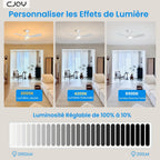 CJOY Ventilateur de Plafond 107 cm