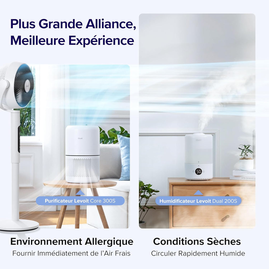 Ventilateur sur Pied Levoit - Moteur DC Silencieux, 12 Vitesses