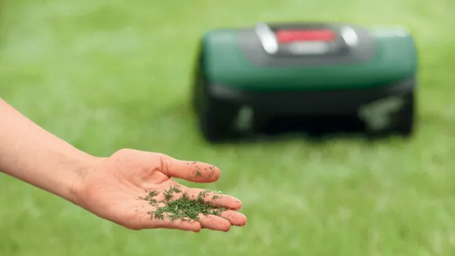 Tondeuse robot connectée BOSCH Indego S+ 500 jusqu’à 500m²