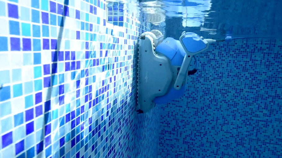 Robot piscine électrique Dolphin MS4
