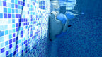 Robot piscine électrique Dolphin MS4